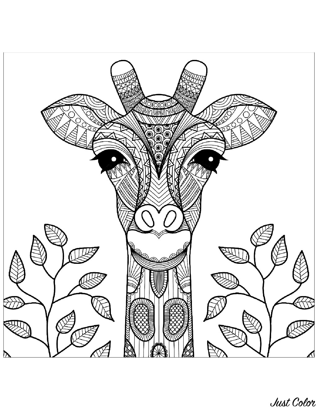 Simple Giraffes coloring page to print and color for free